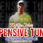 Dark Modern Elegant Singer New Song YouTube Thumbnail (2)