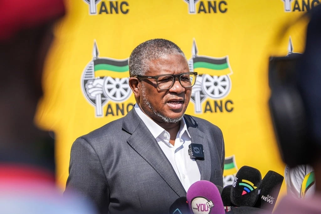 fikile_mbalula